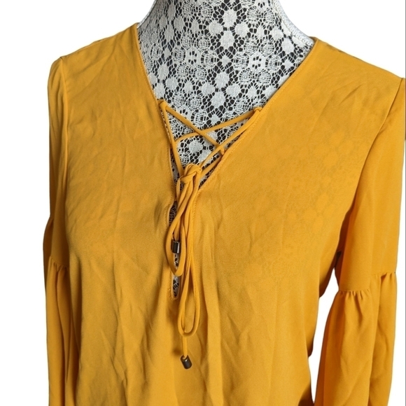 Zara Bodysuit - Picture 3 of 12